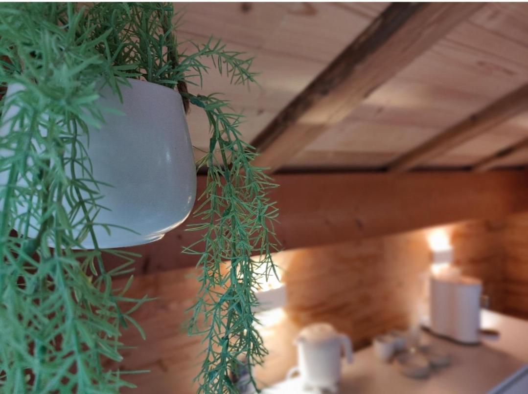 Chambre Boille A Lait Entremont Esterno foto