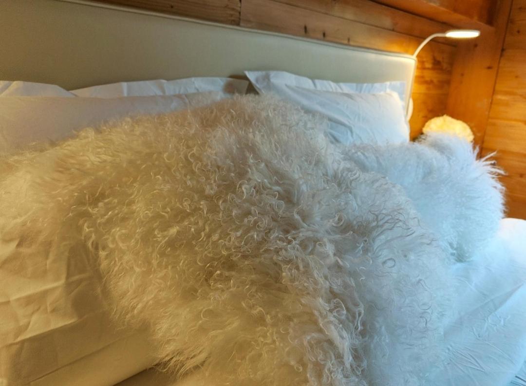 Chambre Boille A Lait Entremont Esterno foto